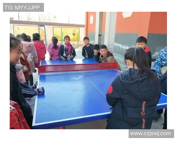 赵娜独家分享乒乓球技巧与心得助你提升球技的全面指南